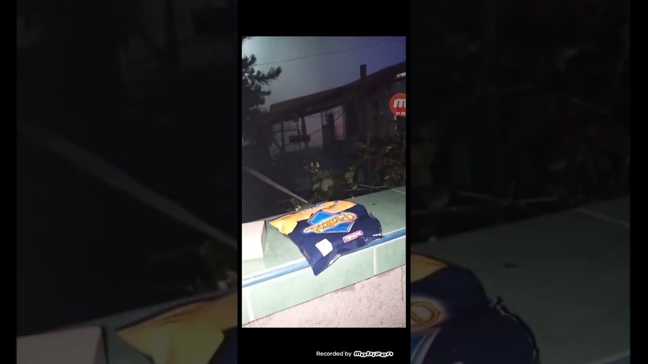 august 22 incident