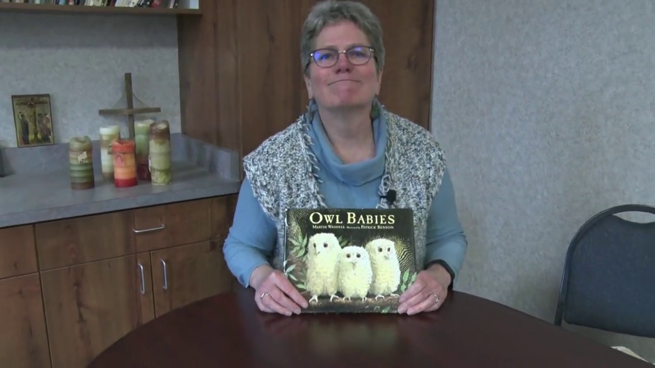 Owl Babies