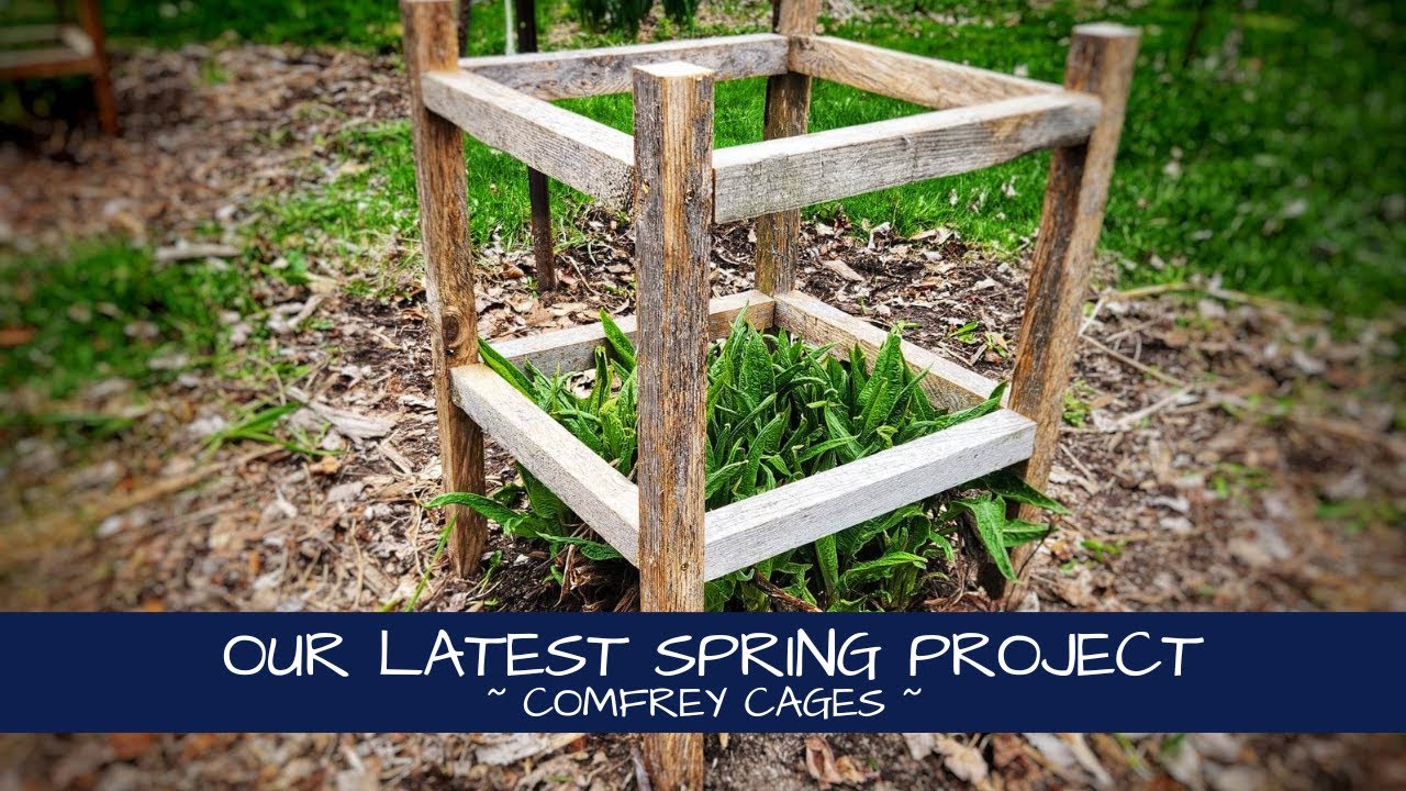 Comfrey Cages