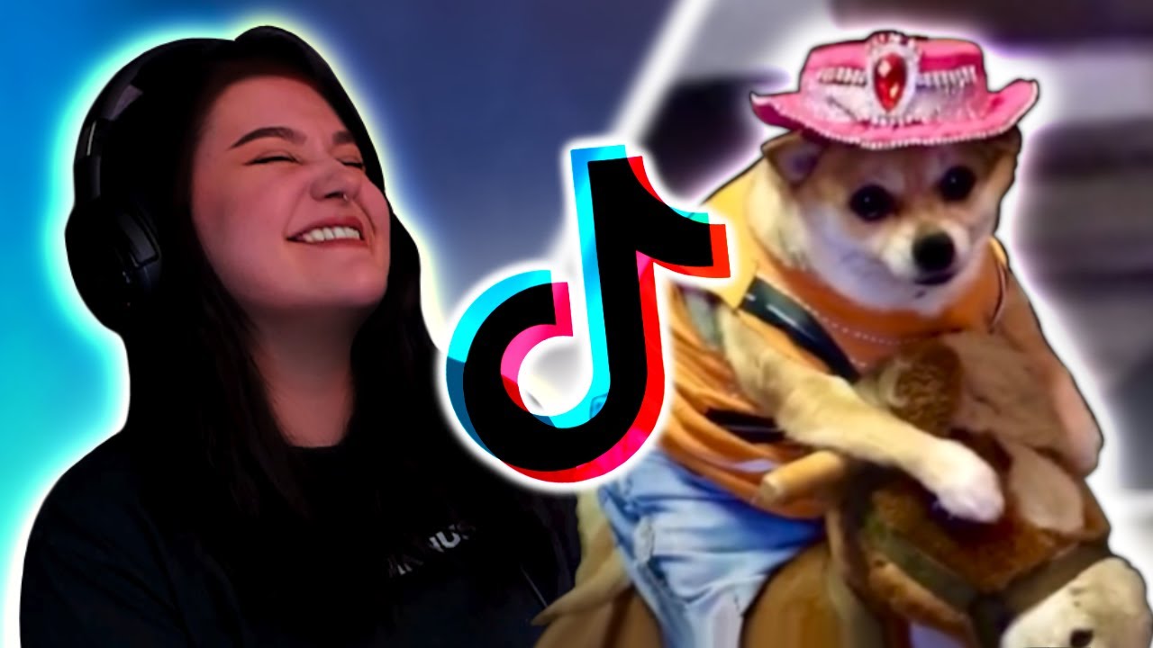 My Favourite TikToks #1