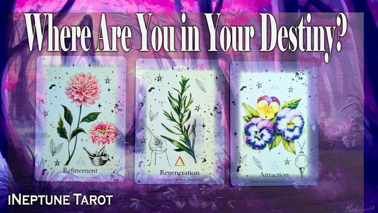 WHERE ARE YOU IN YOUR DESTINY? 🌊 Pick a Card Tarot Reading (Timeless)