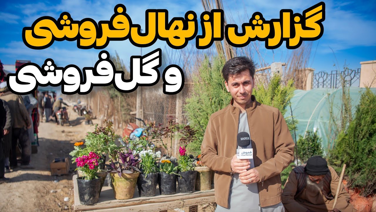گزارش محمد اسرائیل رحیمی از نهال فروشی های شهر زیبای آقچه 