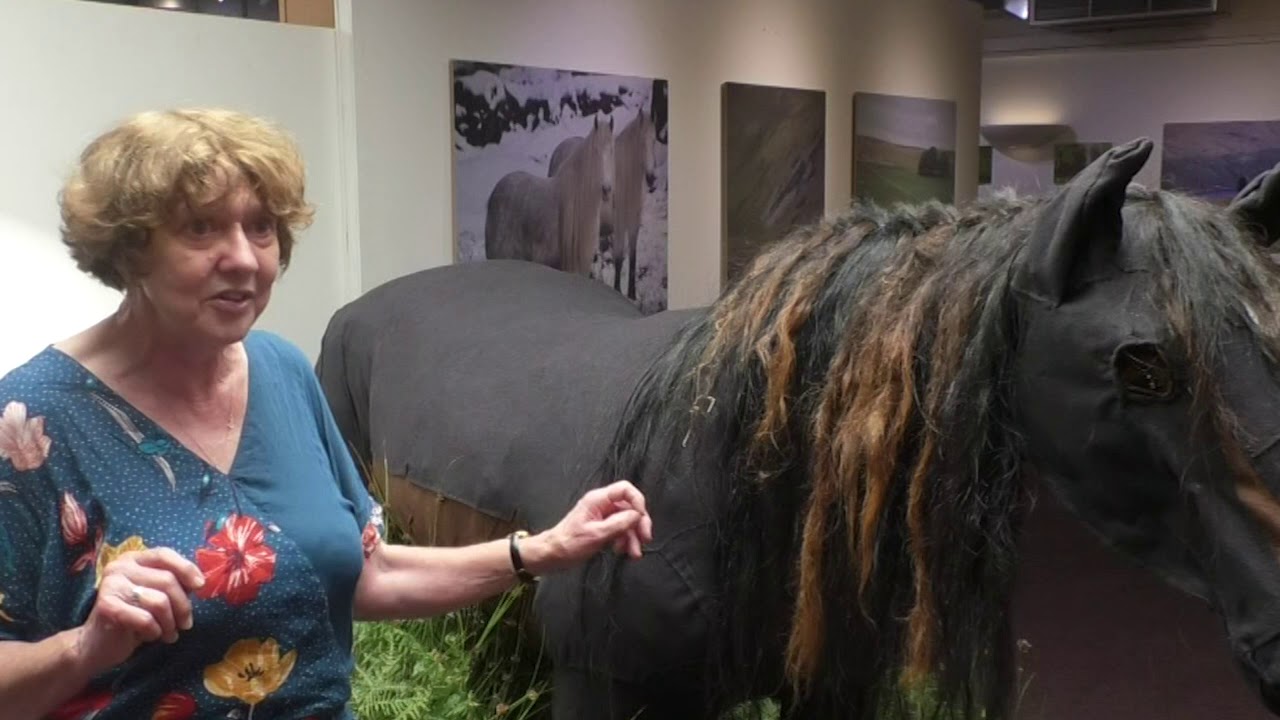 Fell Pony Exhibition Opens At Rheged Centre
