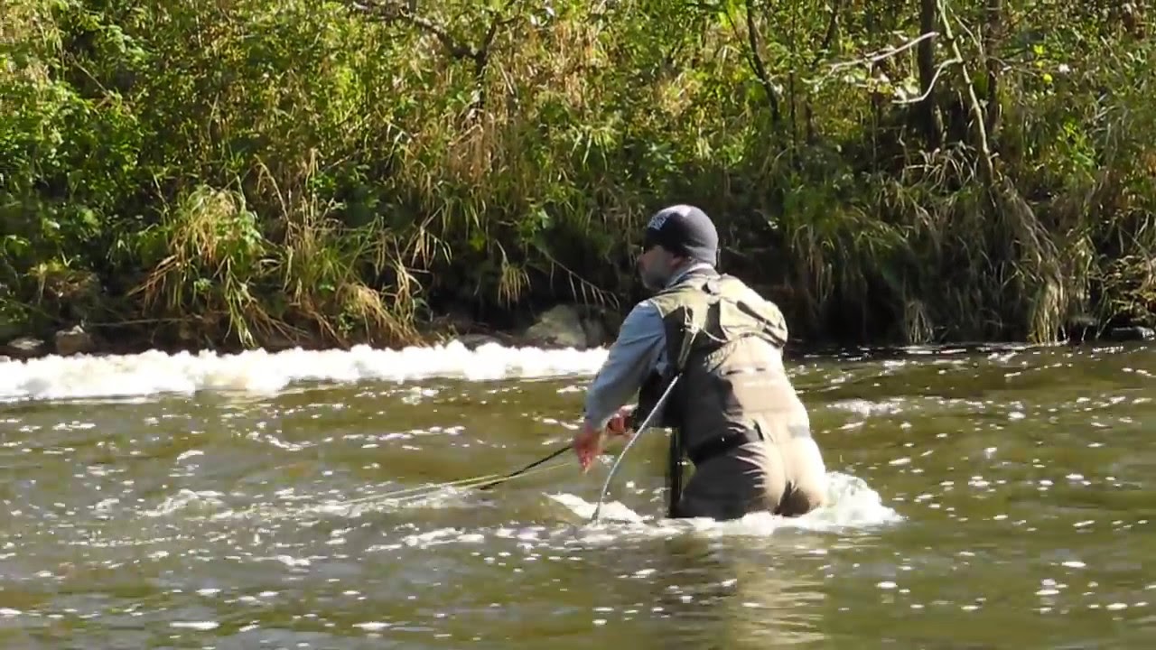 Streamer Fly Fishing, Vltava River