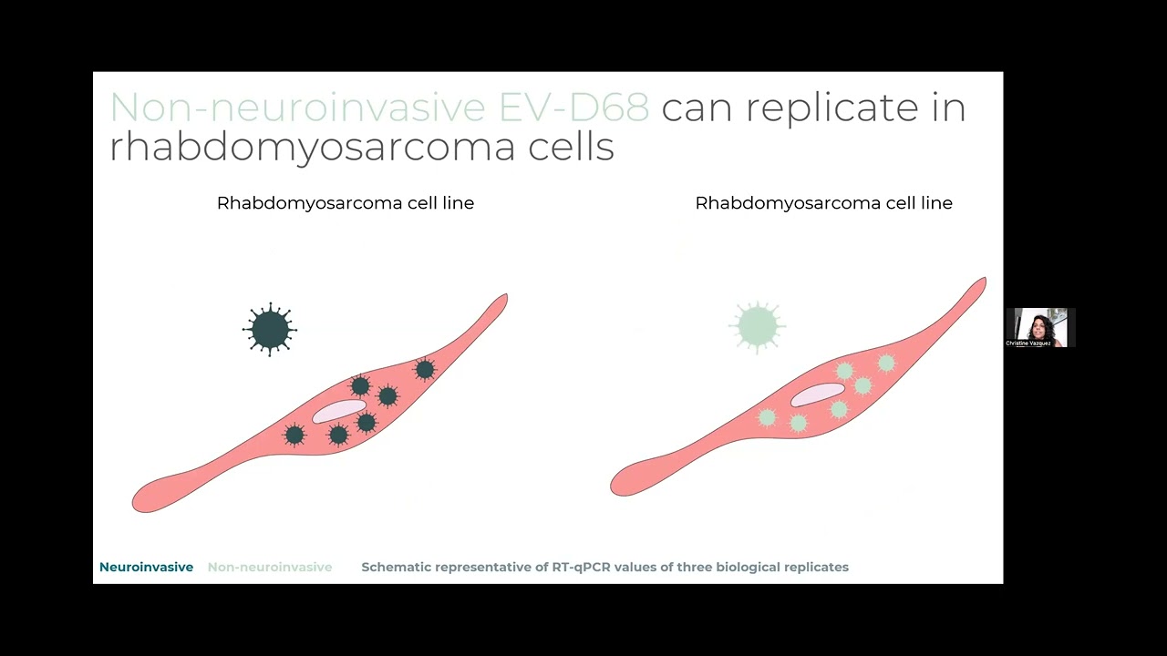 Immunology (Part 1)