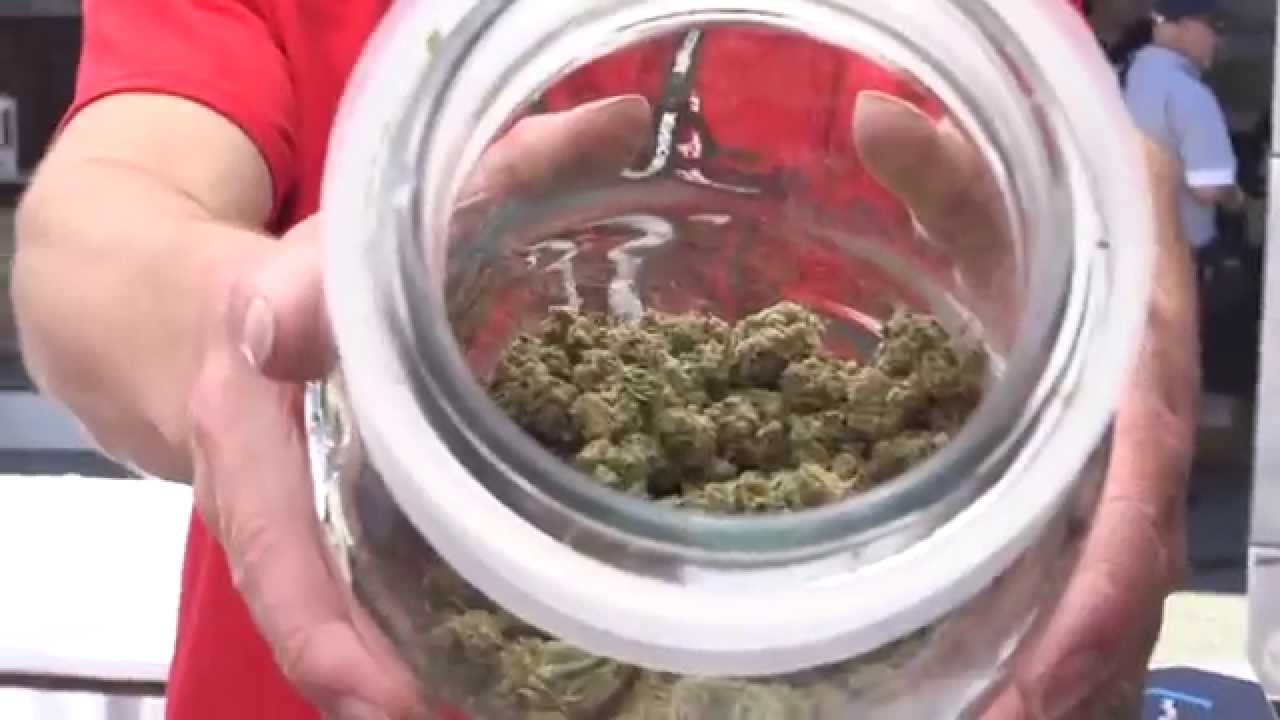 2014 HIGH TIMES Seattle US Cannabis Cup: Sunday Highlights