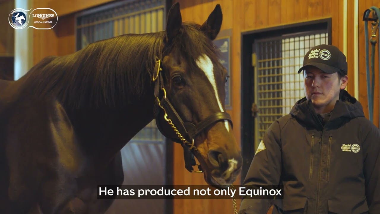Kitasan Black: Sire of Equinox