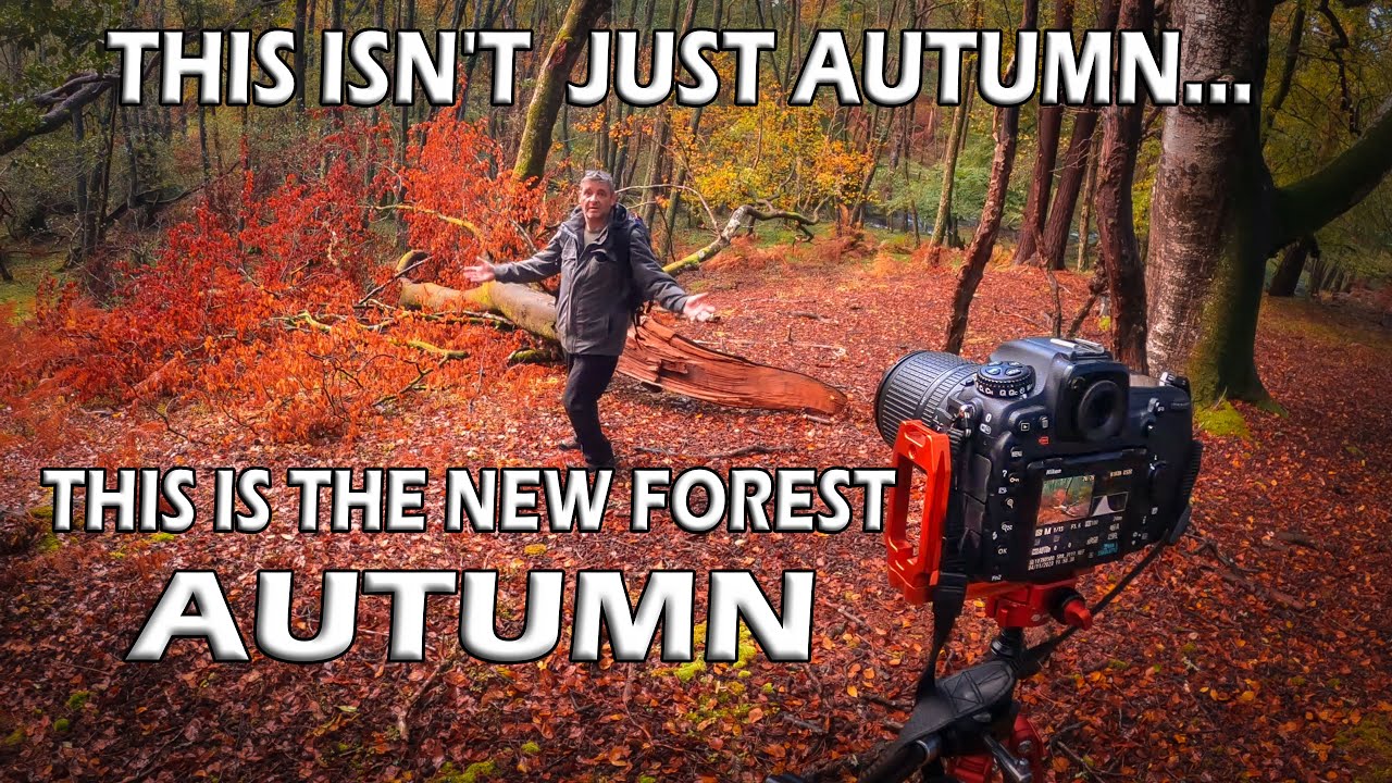 AUTUMN PHOTOGRAPHY IN THE NEW FOREST | LANDSCAPE PHOTOGRAPHY