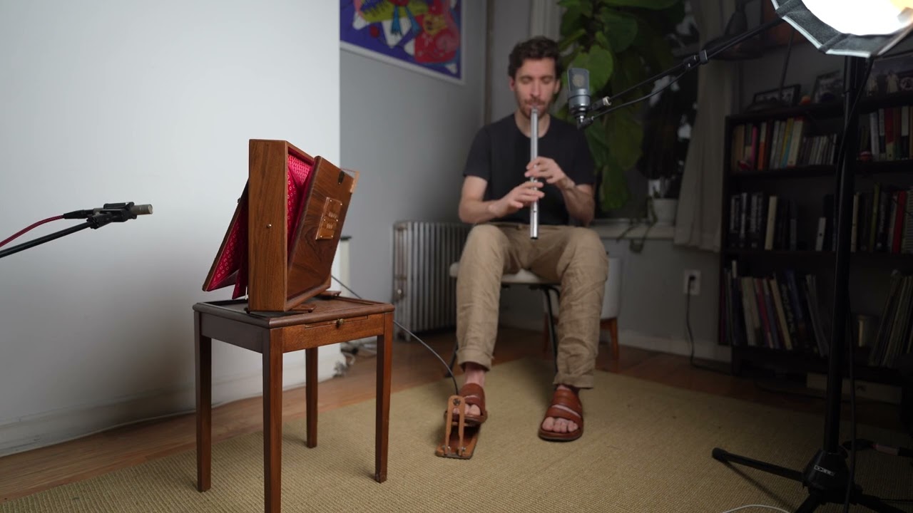 Aisling Gheal | Irish Slow Air | Low D Whistle & Shruti Box