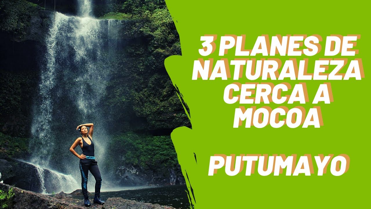 3 planes de naturaleza cerca a Mocoa (Putumayo) - Asherita Viajera guia de aves en Colombia