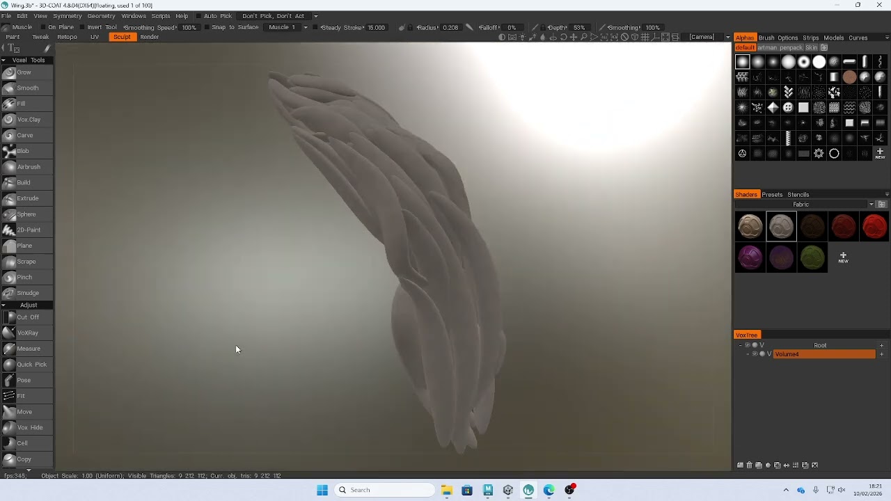 3D Coat Wings