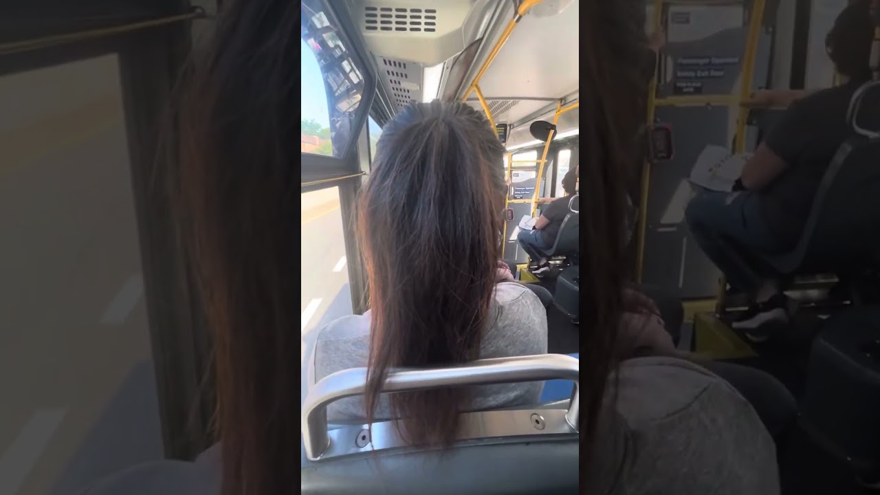 NYC Bus S79SBS to HAYLN BLVD IN STATEN ISLAND NY