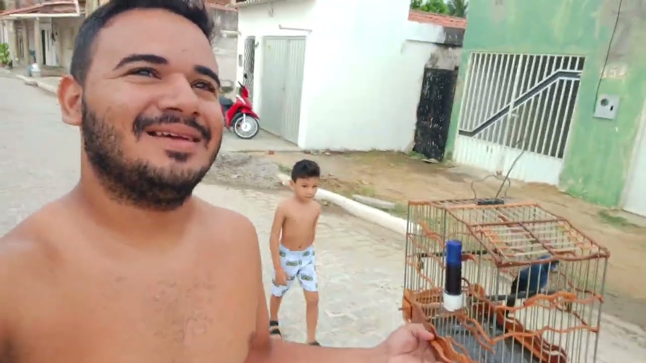 CAMPEADA DE AZULÃO NA RUA DE CASA