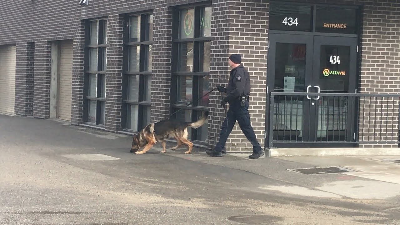 RCMP manhunt