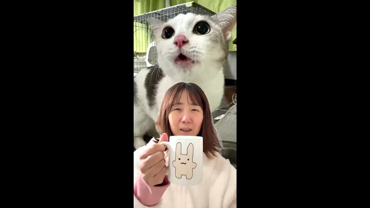 アラフィフ独女と5匹の猫vlog がライブ配信中！