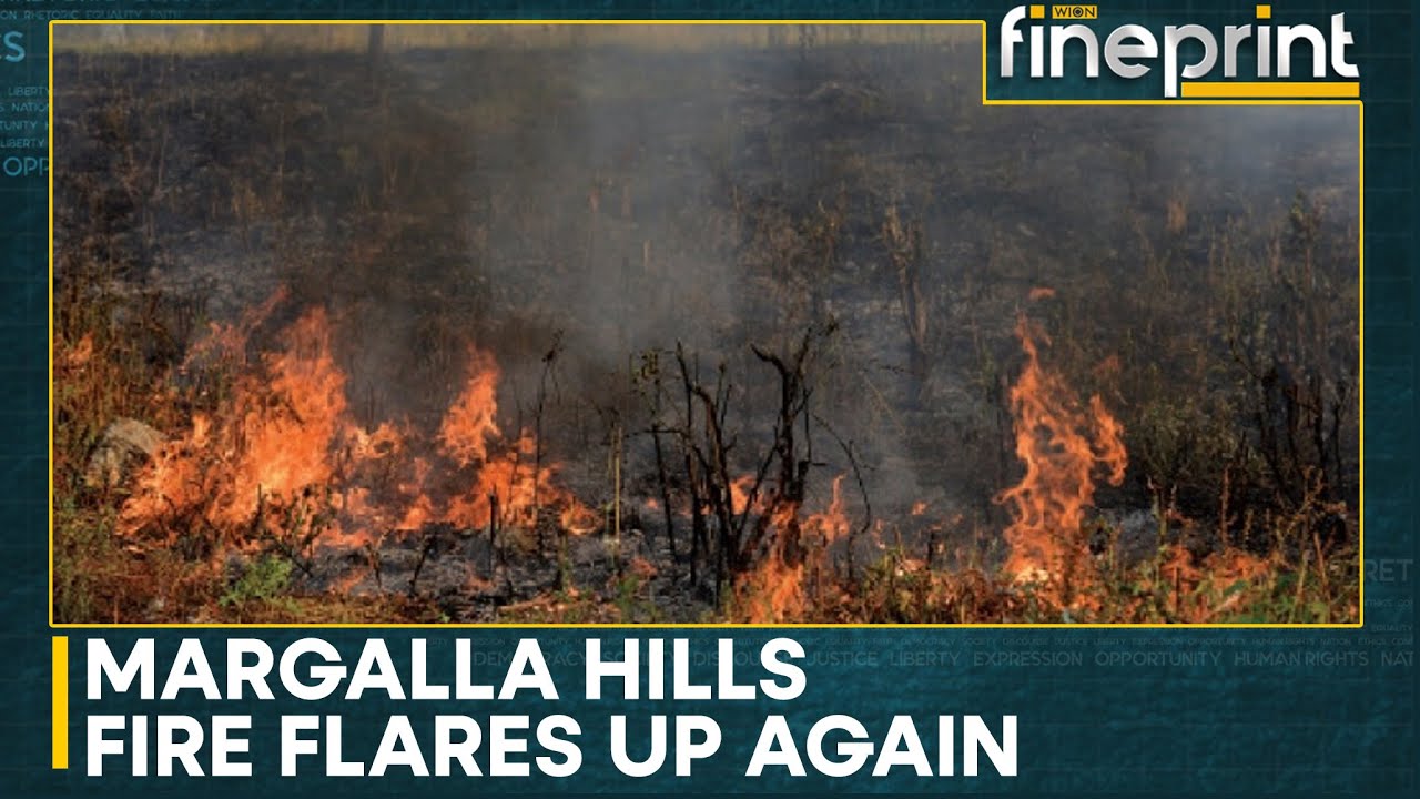 Islamabad: Firefighters battle new round of forest fires on Margalla Hills | WION Fineprint