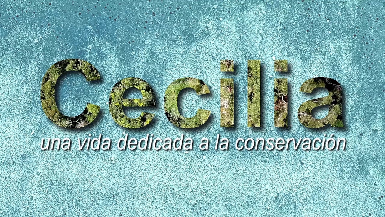 CECILIA CONSERVACIONISTA YOUTUBE HD 1920X1080