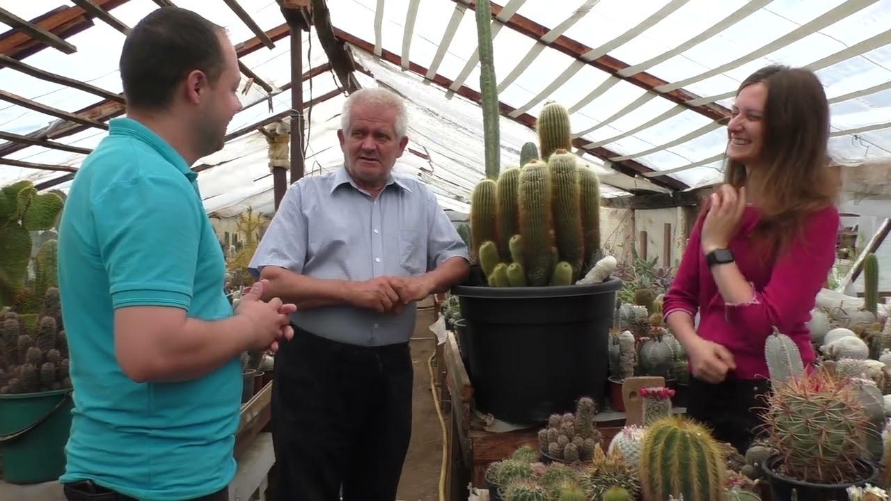 Episodul 23 - „Aradul de Colecție” - Grădina cactușilor