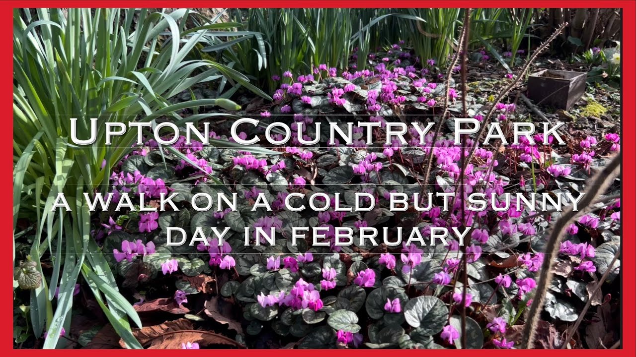 UPTON COUNTRY PARK - on A cold but sunny day in February