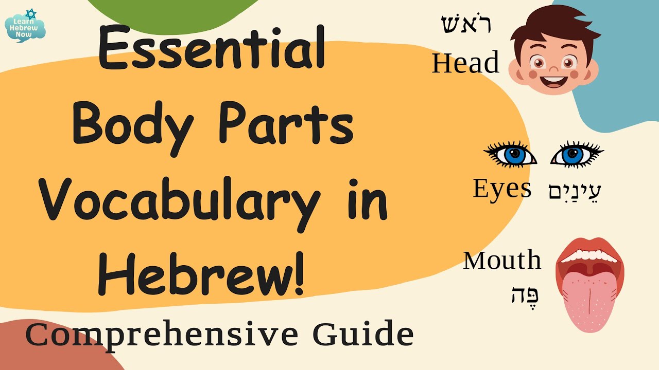 Learn Essential Hebrew : Learn The Names of Body Parts in Hebrew with Easy Pronunciation Guide