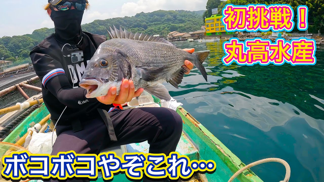 【チヌかかり釣り】#37初挑戦　丸高水産でボコボコに…