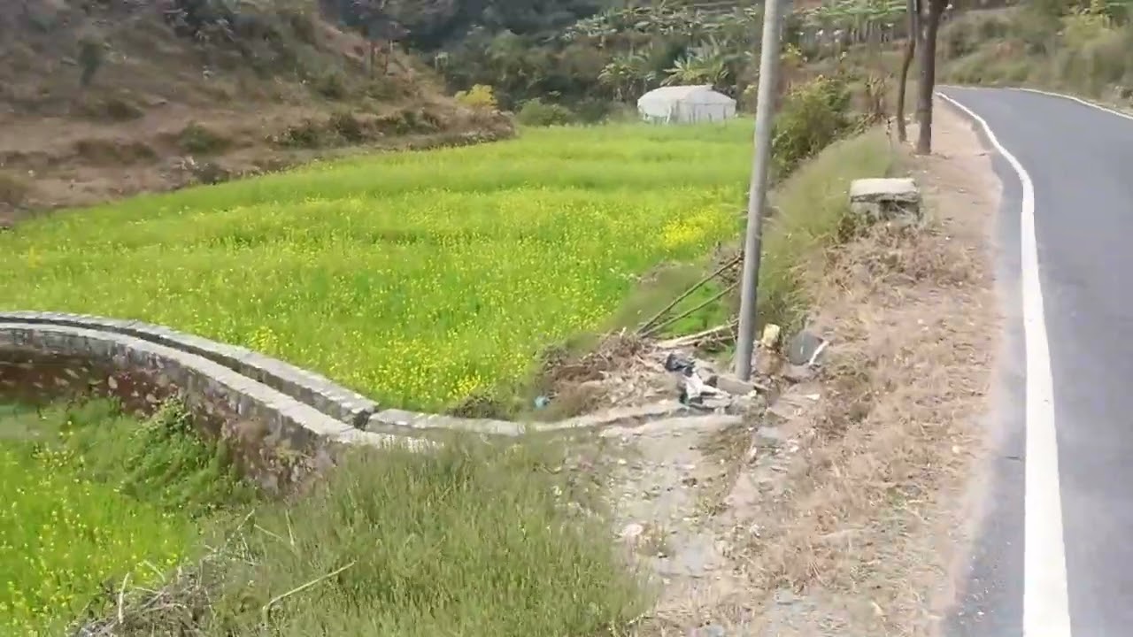 Haryana aala music in uttrakhand 