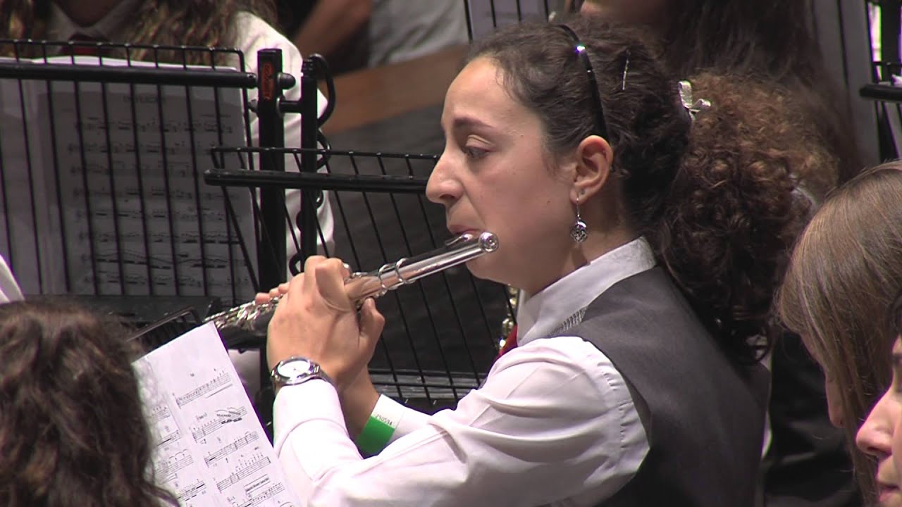 CIB Filarmonia Douro 2015_Banda Amizade