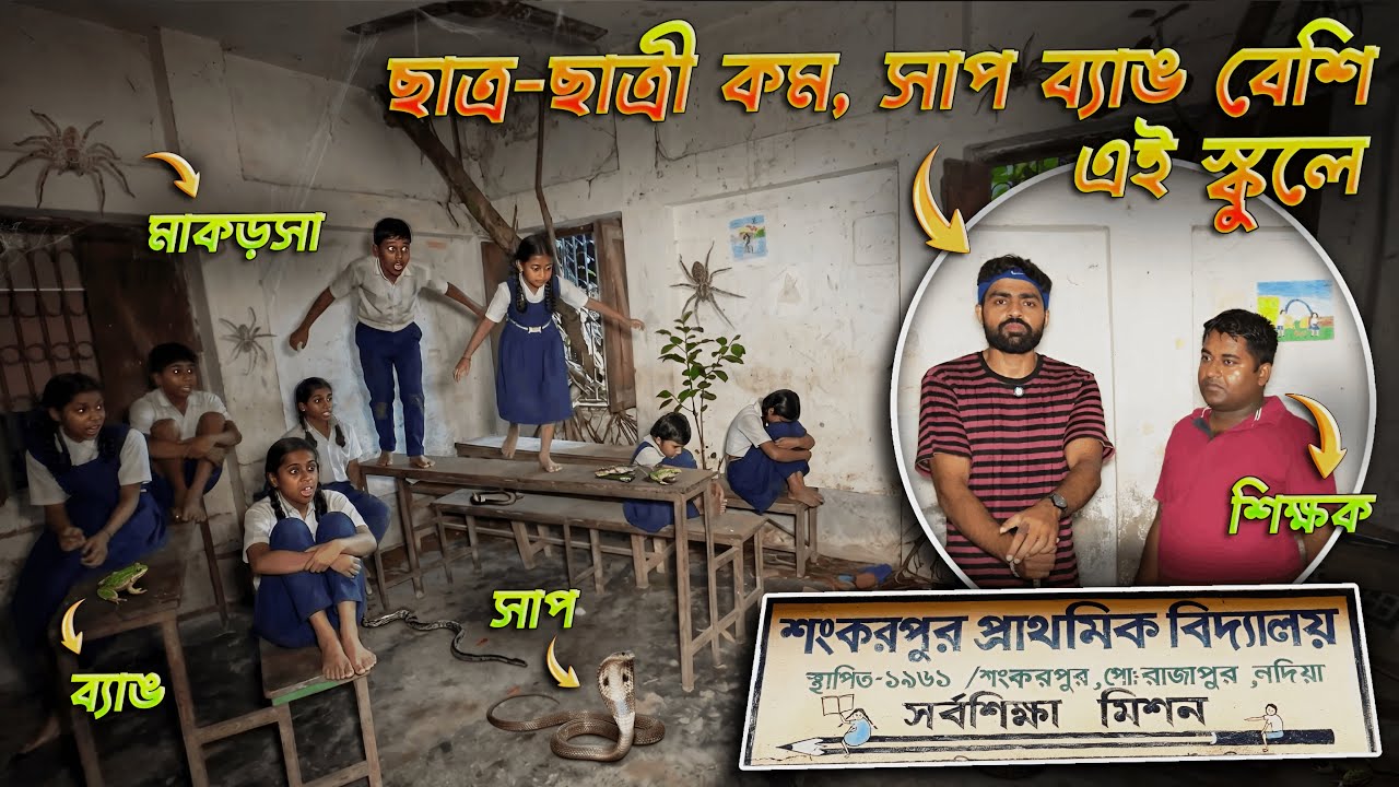ক্লাসরুমে কিলবিল করছে সাপের বাচ্চা! সাপের ভয়ে কাঁপছে স্কুলের শিক্ষক থেকে পড়ুয়া সবাই! #cobra 