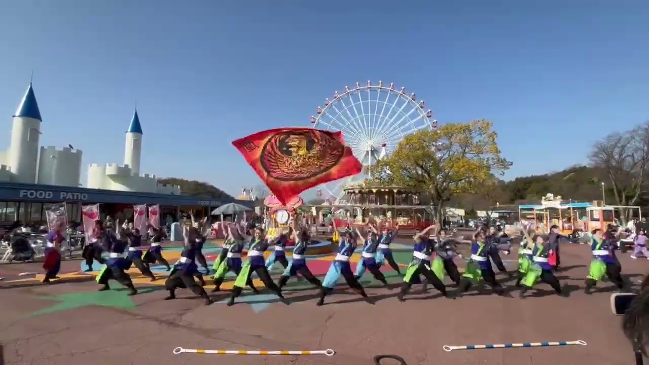 凰　モンキーパーク　2026　よさこい