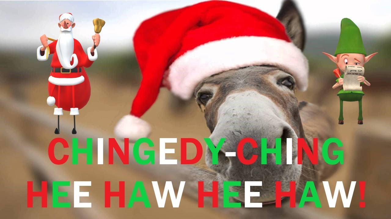 🎅🎄 DOMINICK THE DONKEY! HEE HAW HEE HAW! THE ITALIAN CHRISTMAS DONKEY! 🤣🤣#christmas #christmassongs