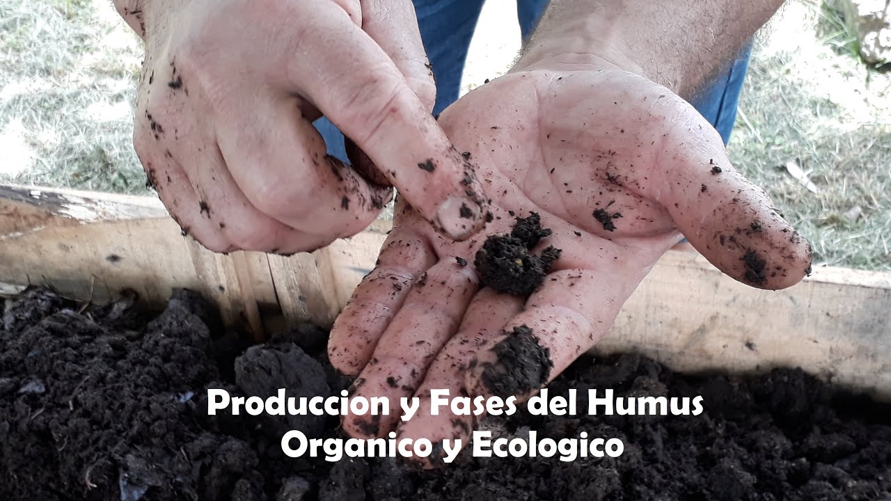 Producción y Fases del Humus Orgánico y Ecológico