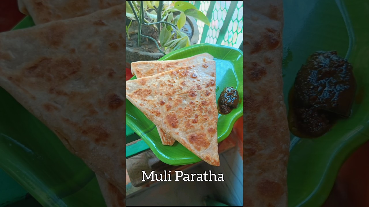 New style Muli Paratha kids Lunch Box ☑️ 🍁 #youtubeshorts #trending #shorts #trendingshorts