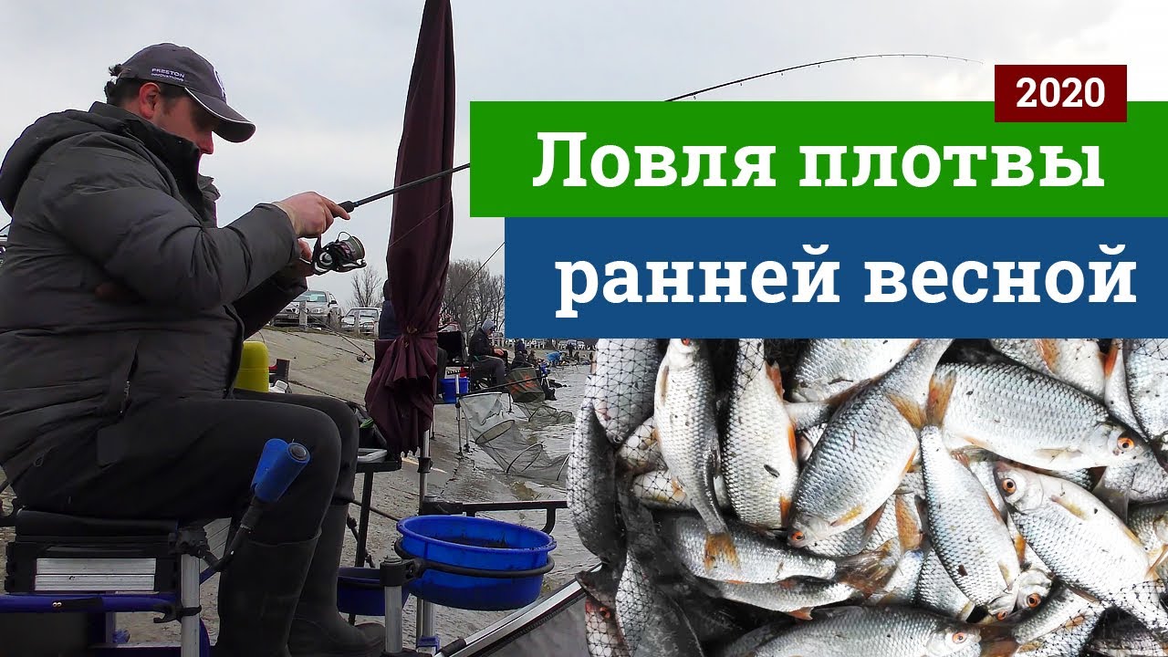 Ловля плотвы на фидер.  Артемовская дамба.