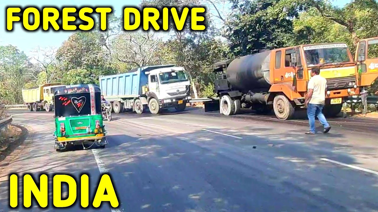 15 Km Peaceful Forest Road Drive 🌳 | India POV
