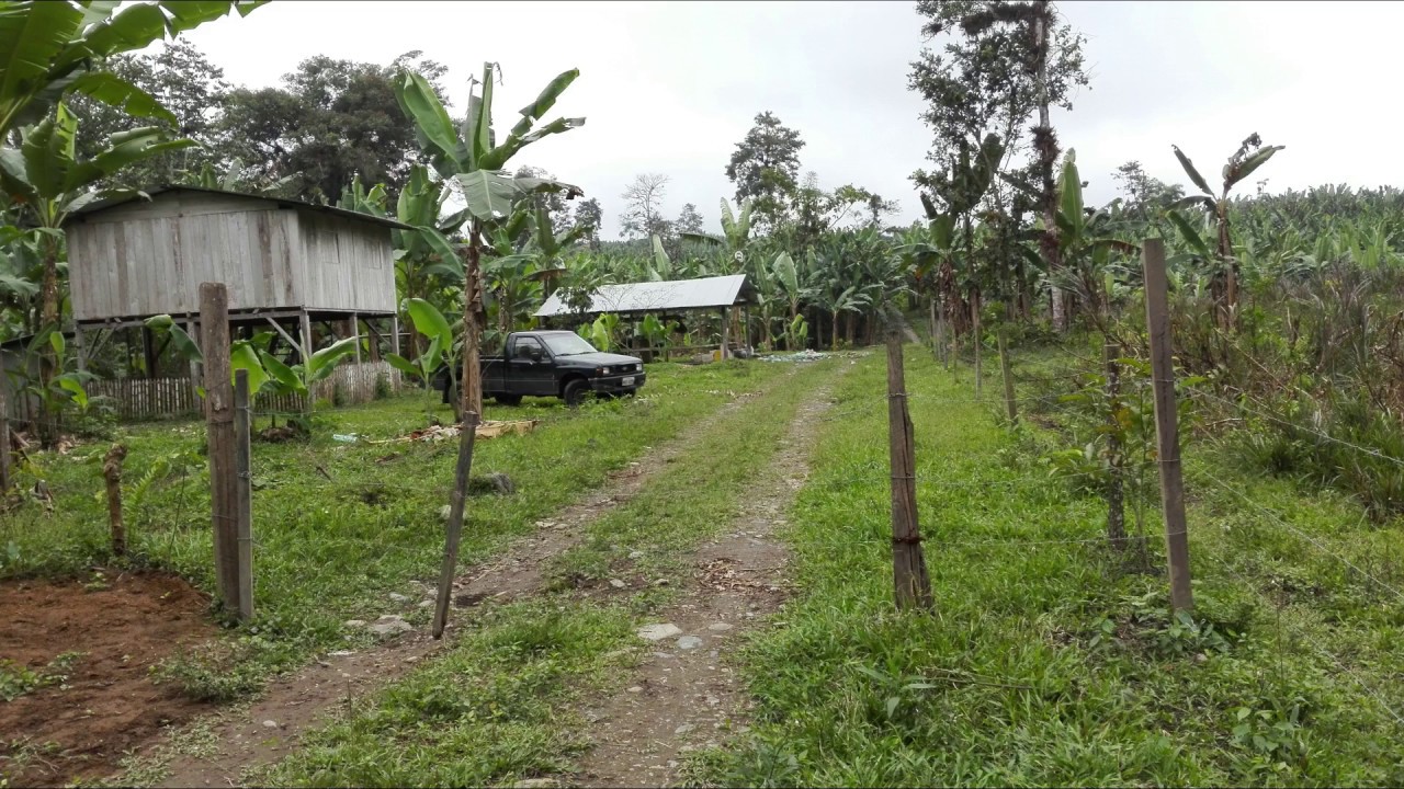 Fincas Agricolas Rio Baba