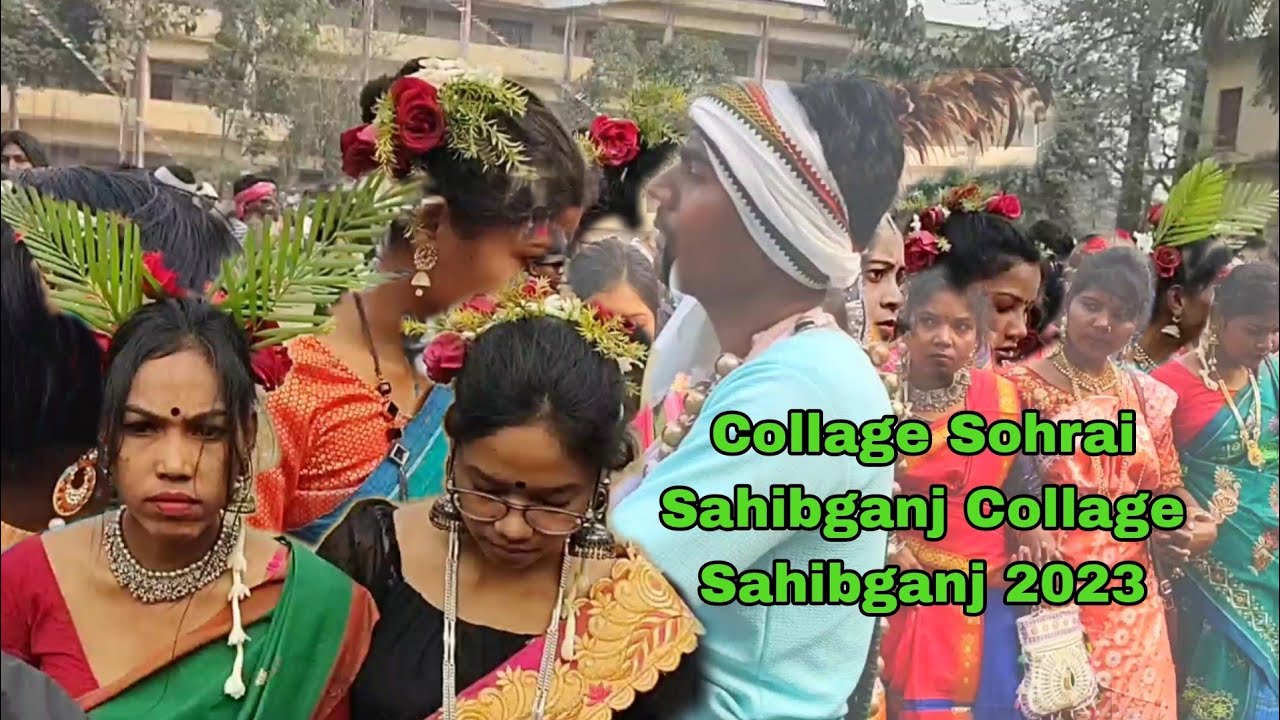 Collage Sohrai Sahibganj Collage Sahibganj 2024 #New #santhali #sohrai #video