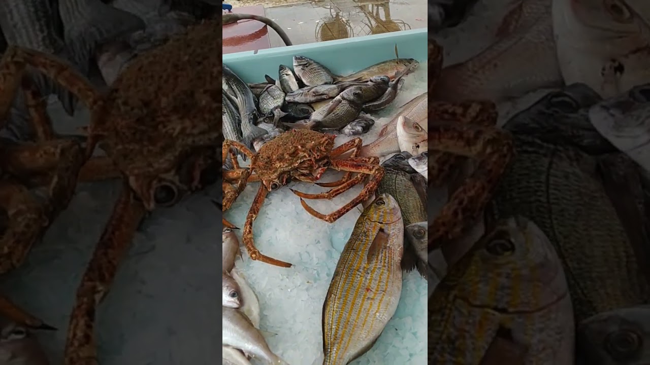 Рыбный рынок в Марселе
