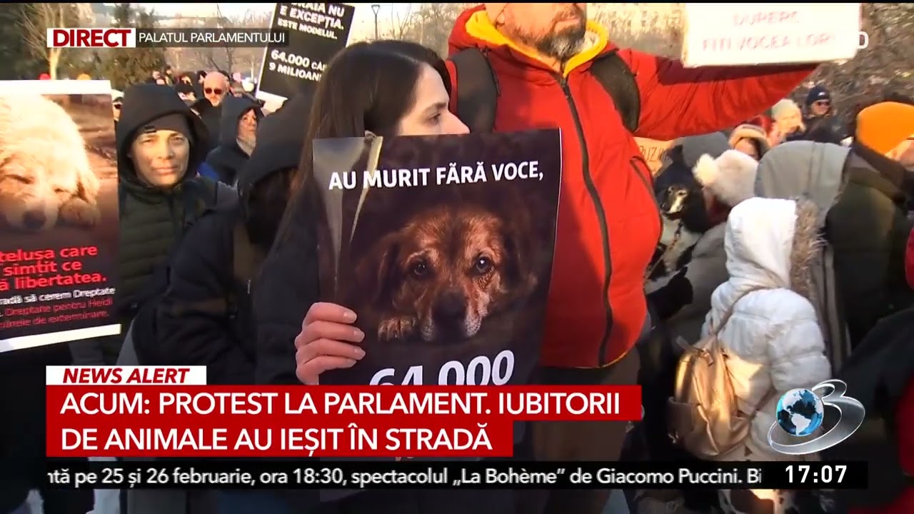 Protest la Parlament. Iubitorii de animale au ieșit în stradă