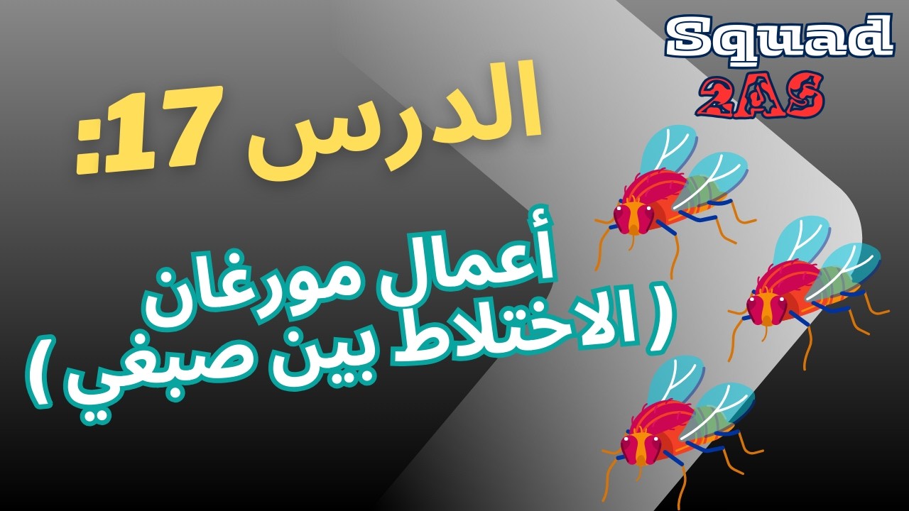 الاختلاط بين الصبغي - أعمال مورغان -  🧬✨ | شرح مبسط – 2AS