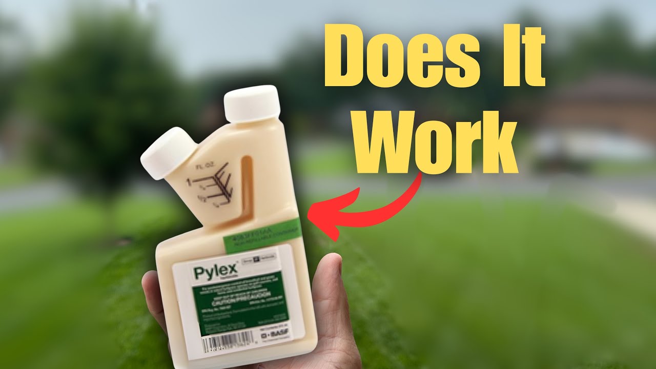 What is the BEST Way to Control Bermuda Grass Your Lawn? | DIY Lawn Coach
