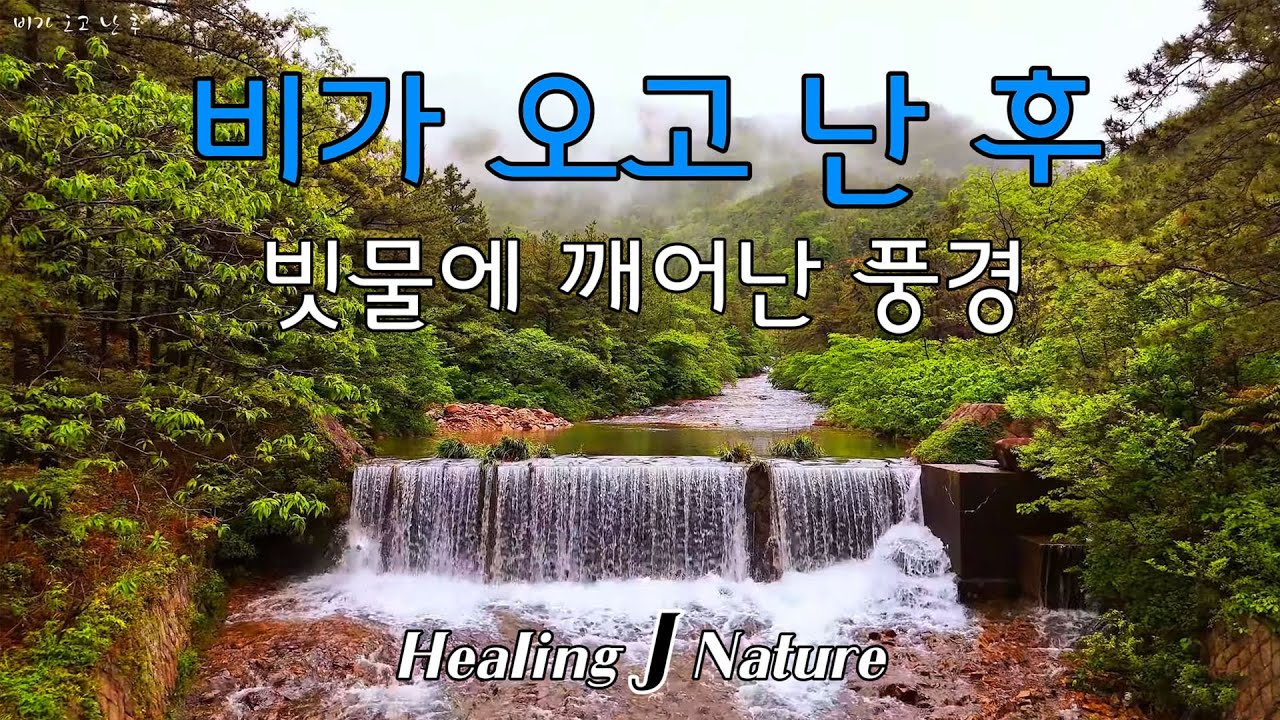 비가 오고 난 후/힐링 자연 풍경 영상