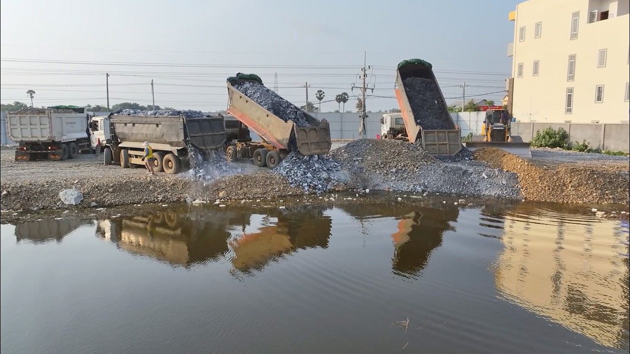 Amazing Bulldozer SHANTUI C3 Push Rock With DumpTruck 25 TON Transport Rock Filling Land