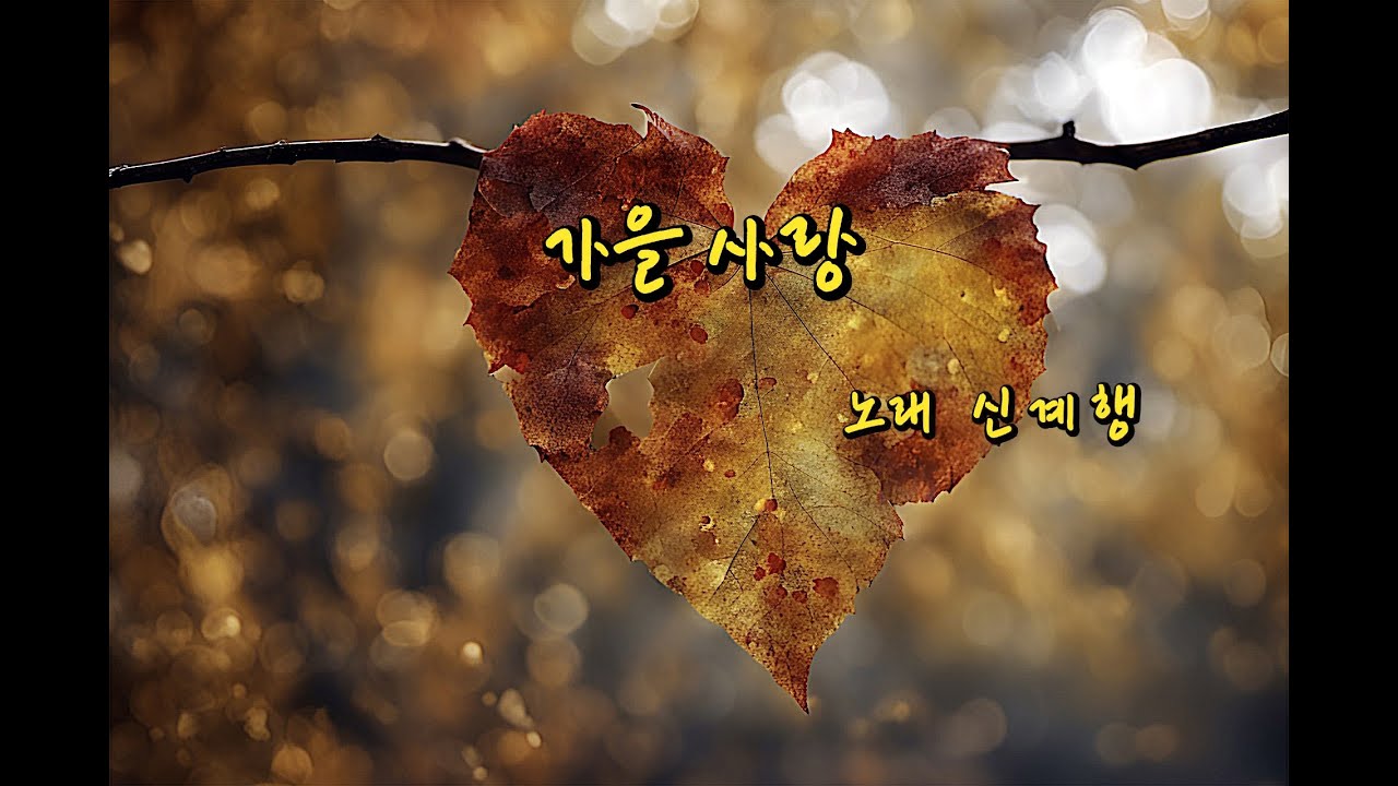 가을 사랑(노래 신계행)