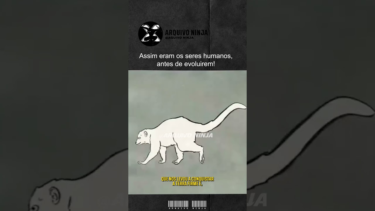 Assim Eram os Seres Humanos 🐒