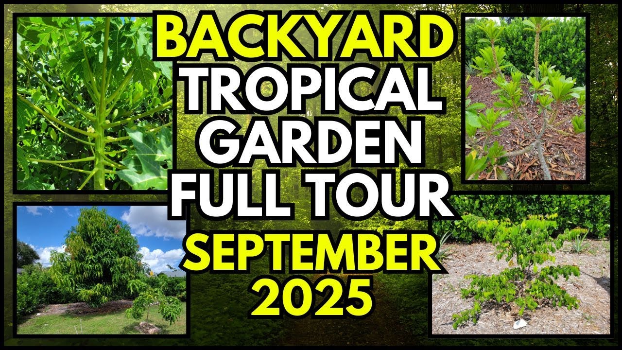 Florida Backyard Garden — сентябрь 2025 г. — полный тур!