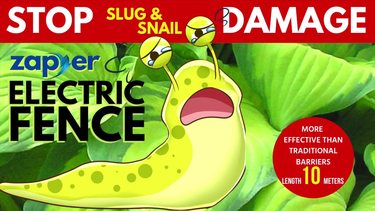 Zaper Electric Fence [In Action] - Stop Slug & Snail Damage