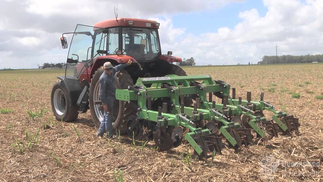 Strip tillage for vegetable production