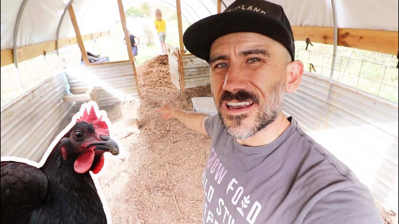 Moving our 15 Chickens to the Pig Shelter// VLOG