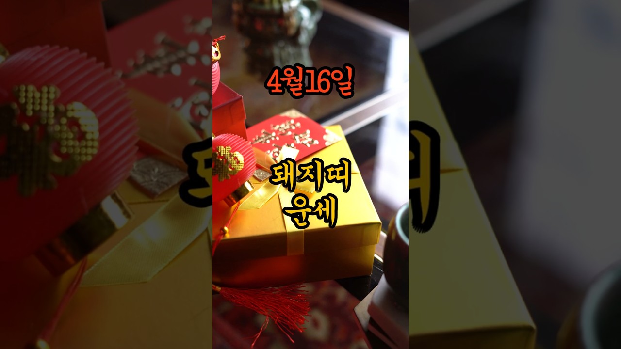 4월16일 돼지띠운세??#일일운세 #띠별운세 #풍수운세 #funnyshorts