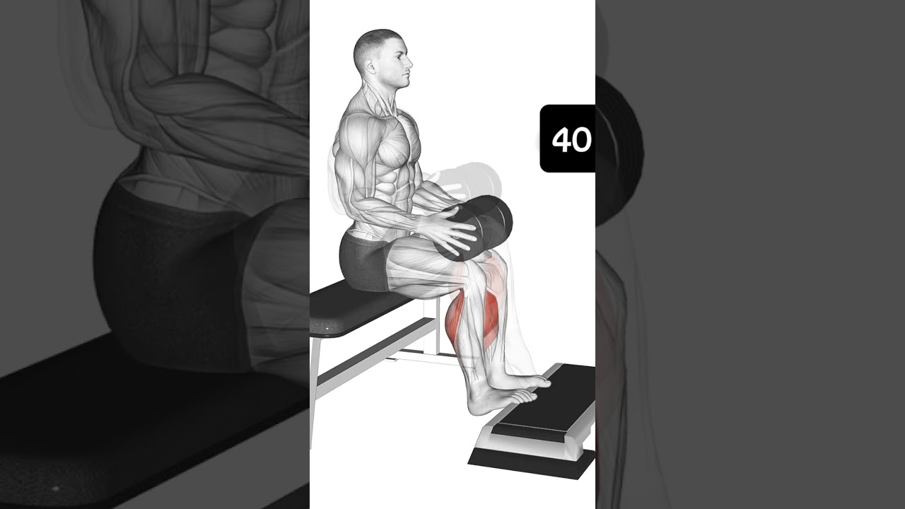 Seated Calf Raise Burn – Build Bigger Calves Anywhere" 